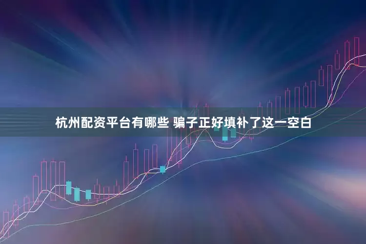 杭州配资平台有哪些 骗子正好填补了这一空白