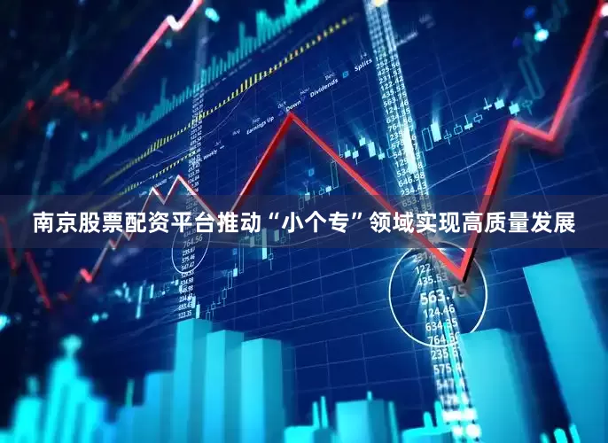 南京股票配资平台推动“小个专”领域实现高质量发展
