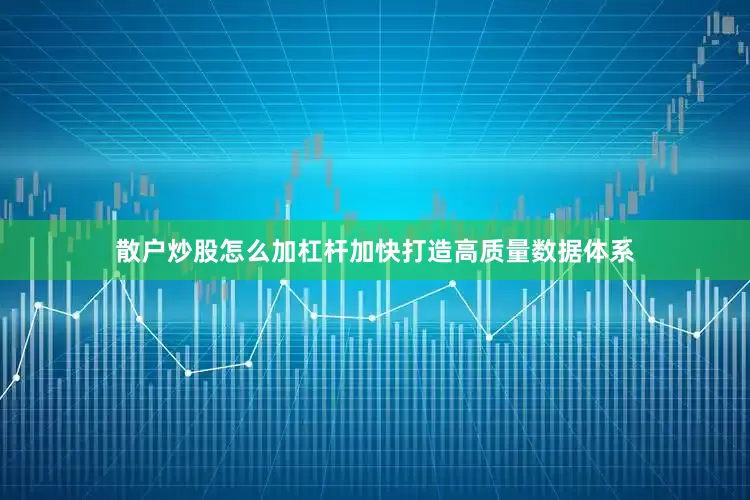 散户炒股怎么加杠杆加快打造高质量数据体系