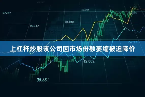 上杠杆炒股该公司因市场份额萎缩被迫降价
