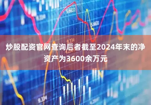 炒股配资官网查询后者截至2024年末的净资产为3600余万元