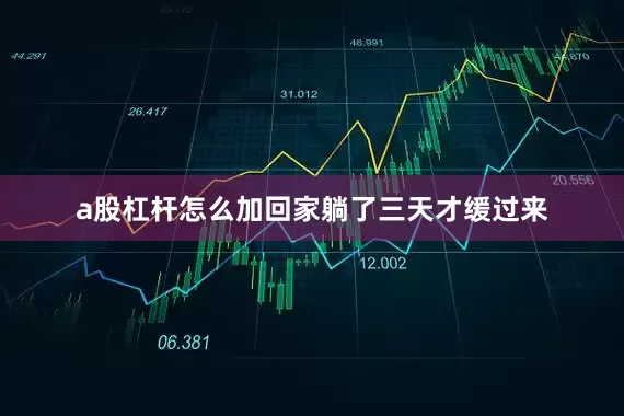 a股杠杆怎么加回家躺了三天才缓过来