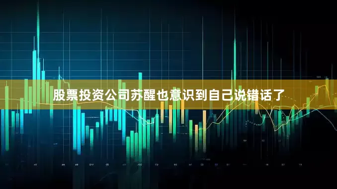 股票投资公司苏醒也意识到自己说错话了