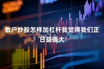 散户炒股怎样加杠杆我觉得我们正日益强大