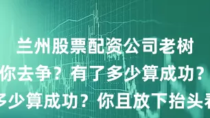兰州股票配资公司老树什么值得你去争？有了多少算成功？你且放下抬头看